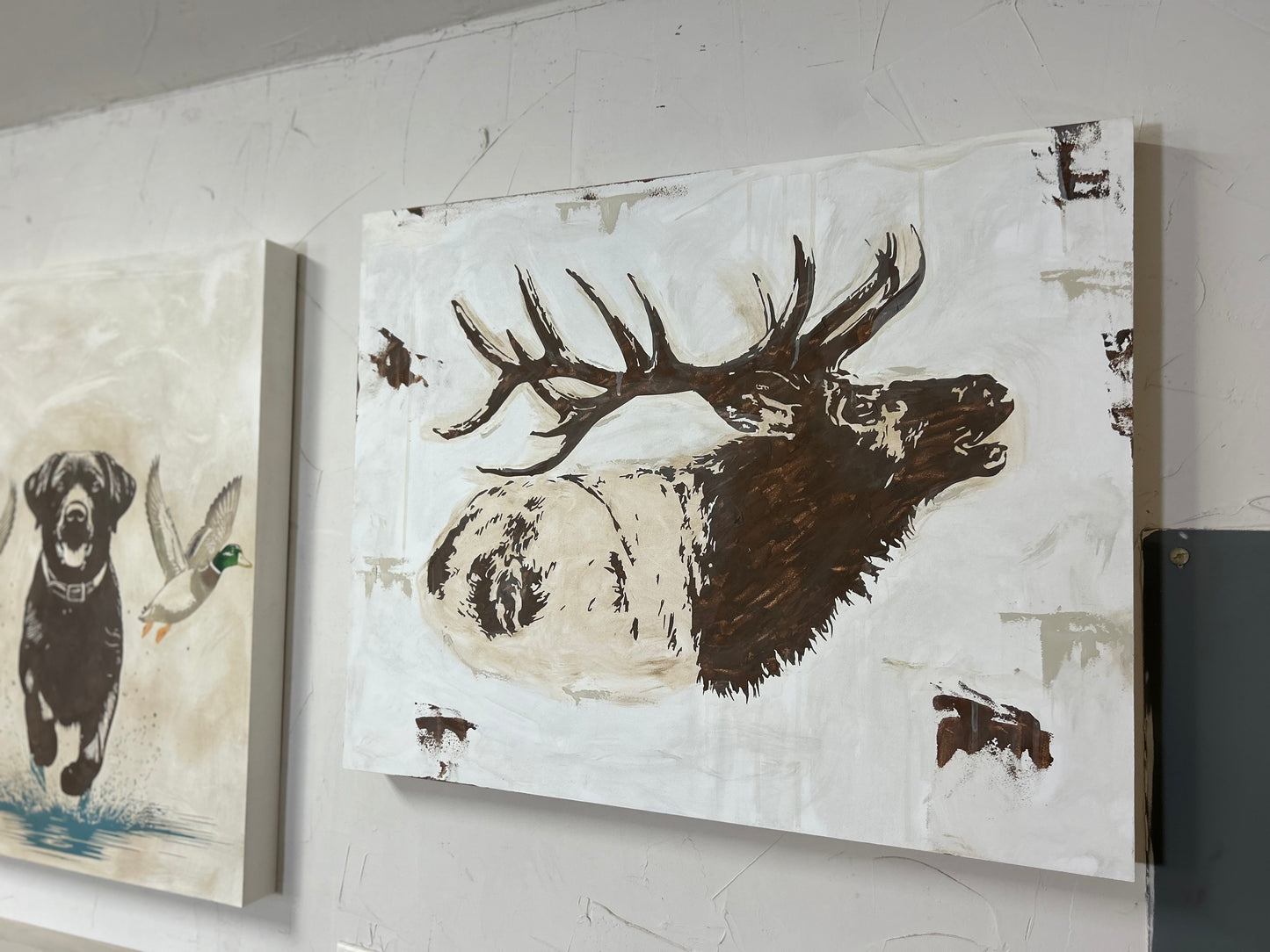 Elk