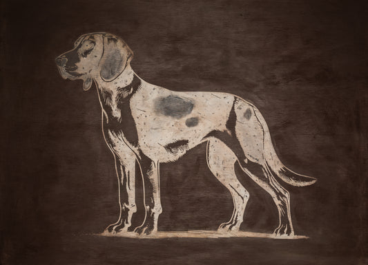 Coon Hound
