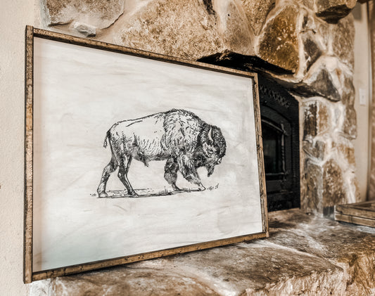 Watercolor bison