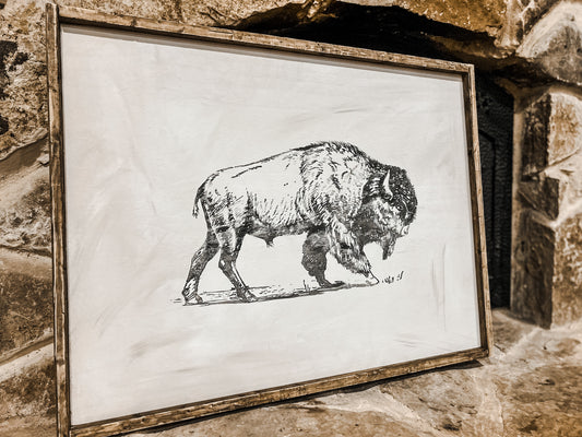 Watercolor bison